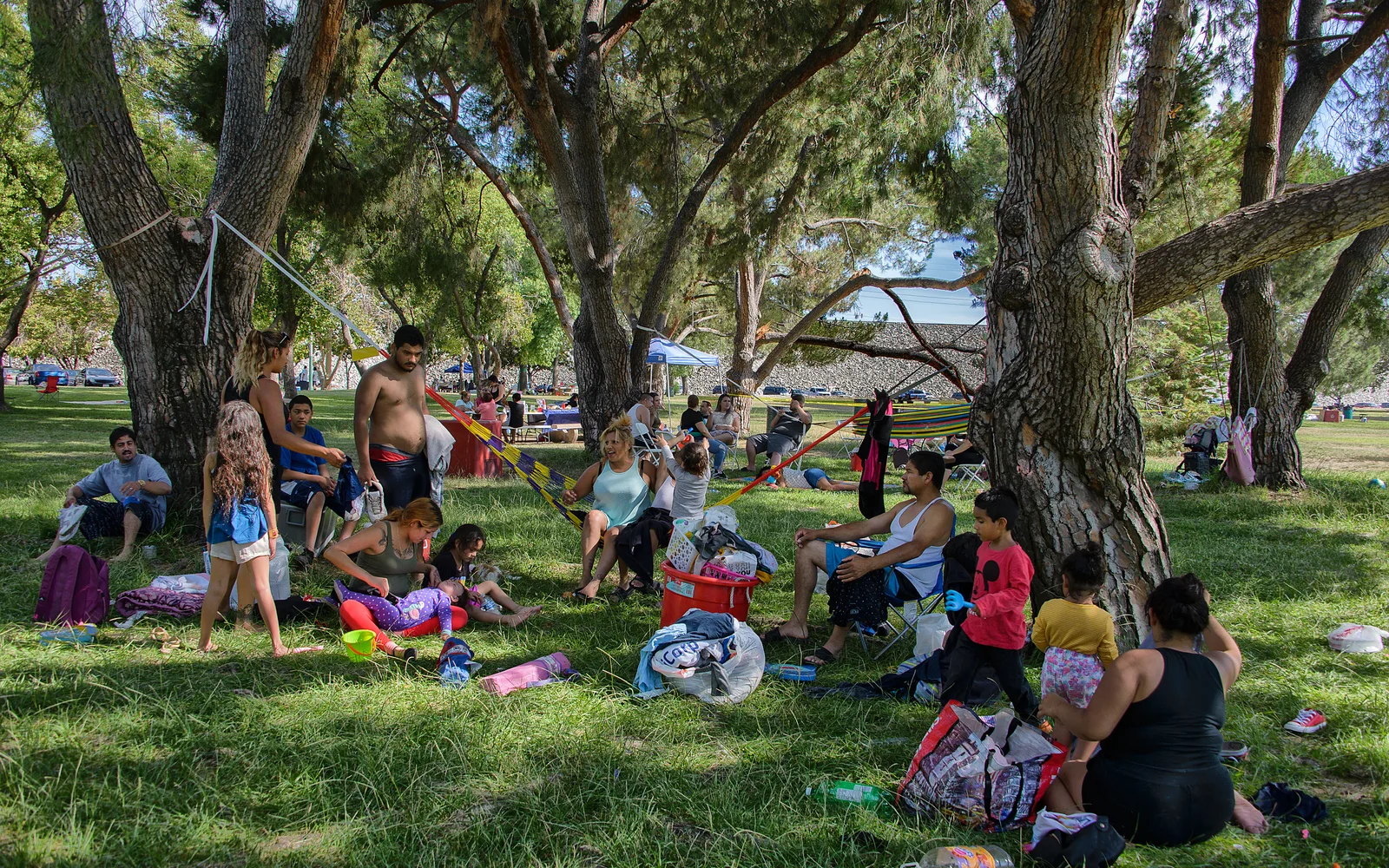 Families enjoying a summer day in a parks with green grass, shade trees, and recreational areas